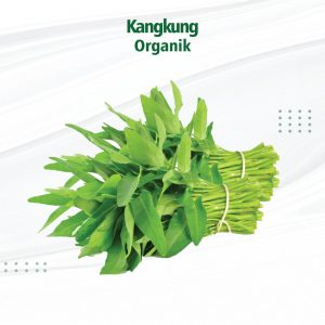 Kangkung 100% Organik | Berat 200 gram per package